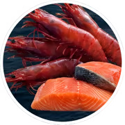 Astaxantina